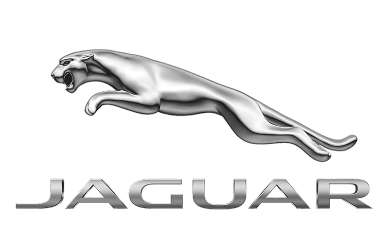Özel Jaguar Servisi