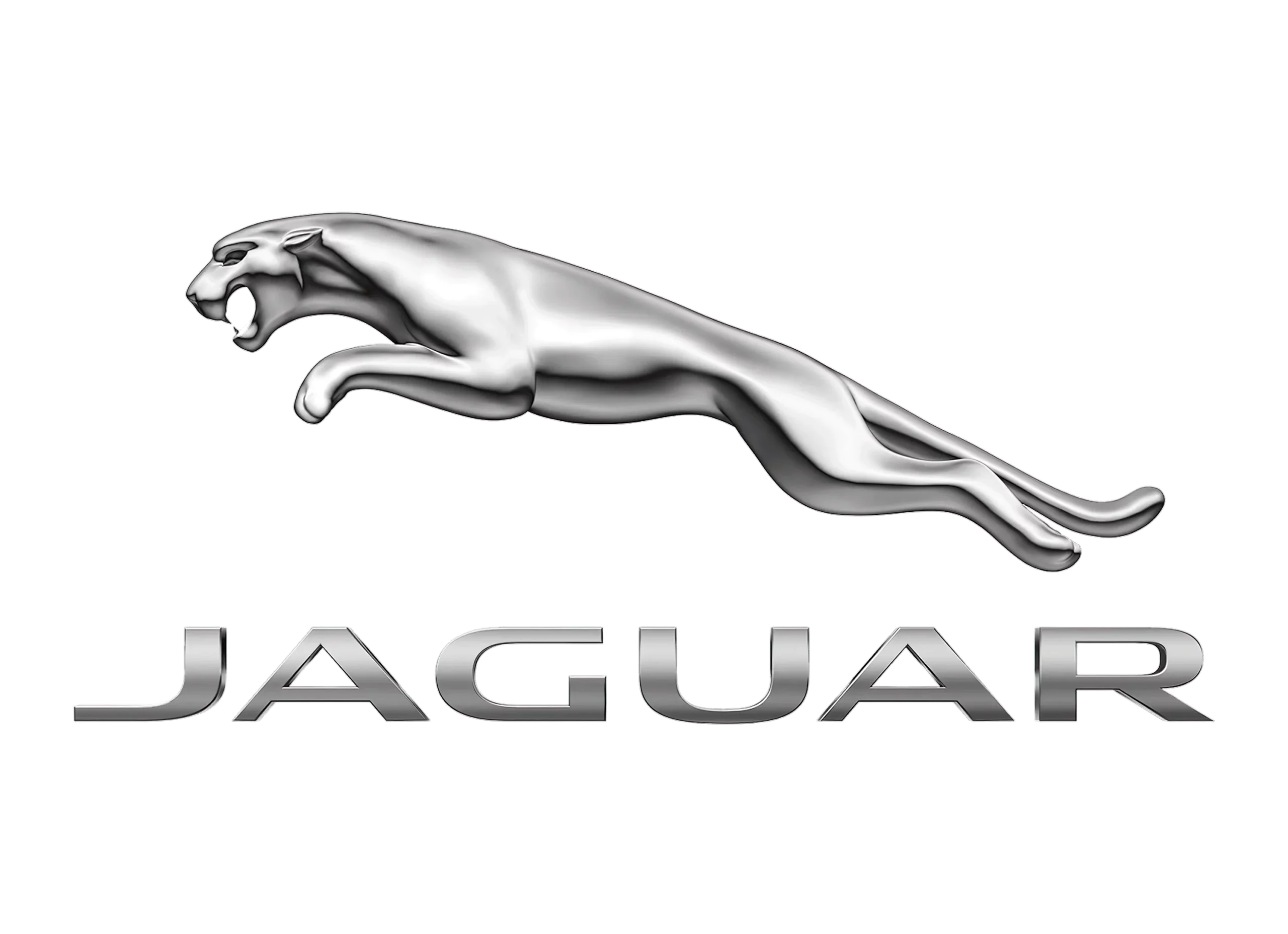Özel Jaguar Servisi